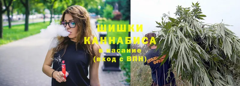 наркота  MEGA как войти  Шишки марихуана Ganja  Кисловодск 